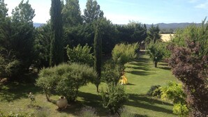 A garden with various trees and a grassy area. - Magnificent in the heart of Provence (Maillane)