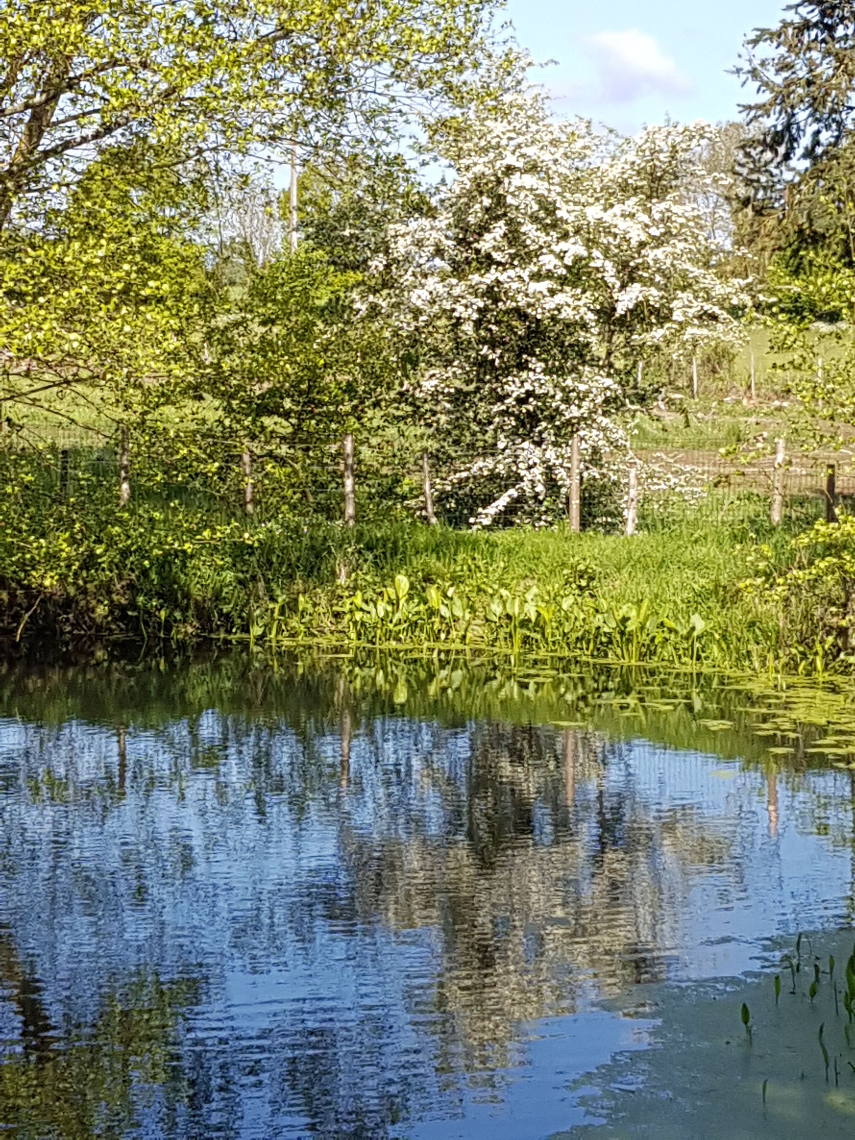 Gîte L'eau vive - The mill of Charin - Puy du Fou