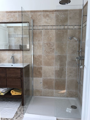Shower, hair dryer, soap, toilet paper