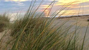 A beach with sand dunes and grass in the foreground.