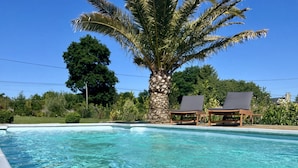 A clear swimming pool with a palm tree and lounge chairs.