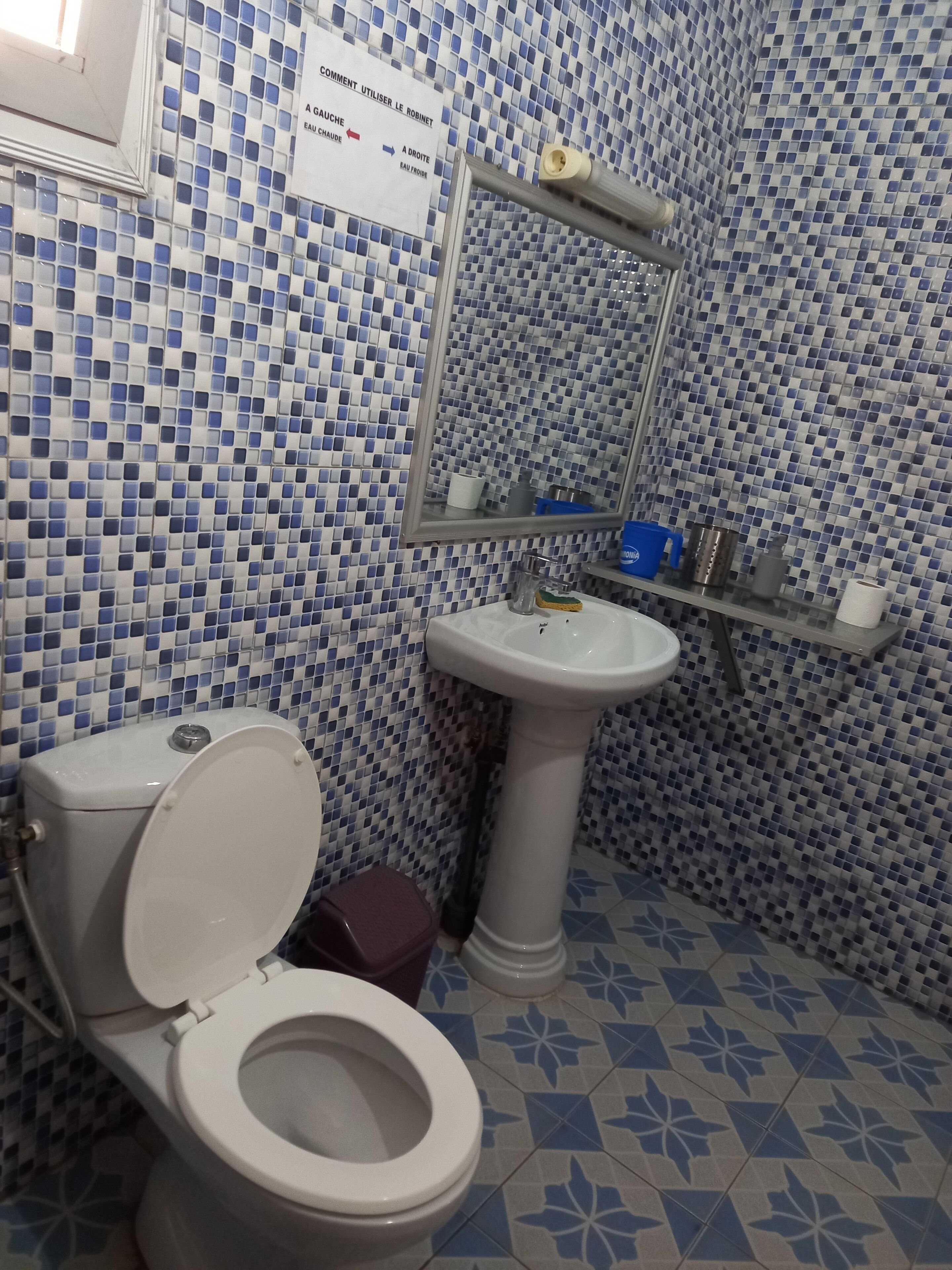 Une salle de bain avec des toilettes, un lavabo et un miroir. Les murs sont recouverts de carreaux bleus et blancs.