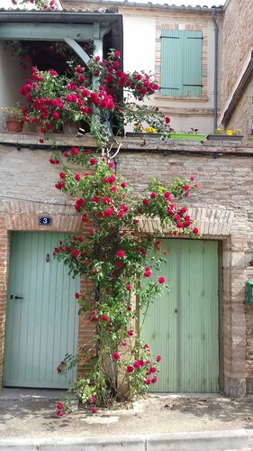 House with sunny terrace; 3 rooms .  