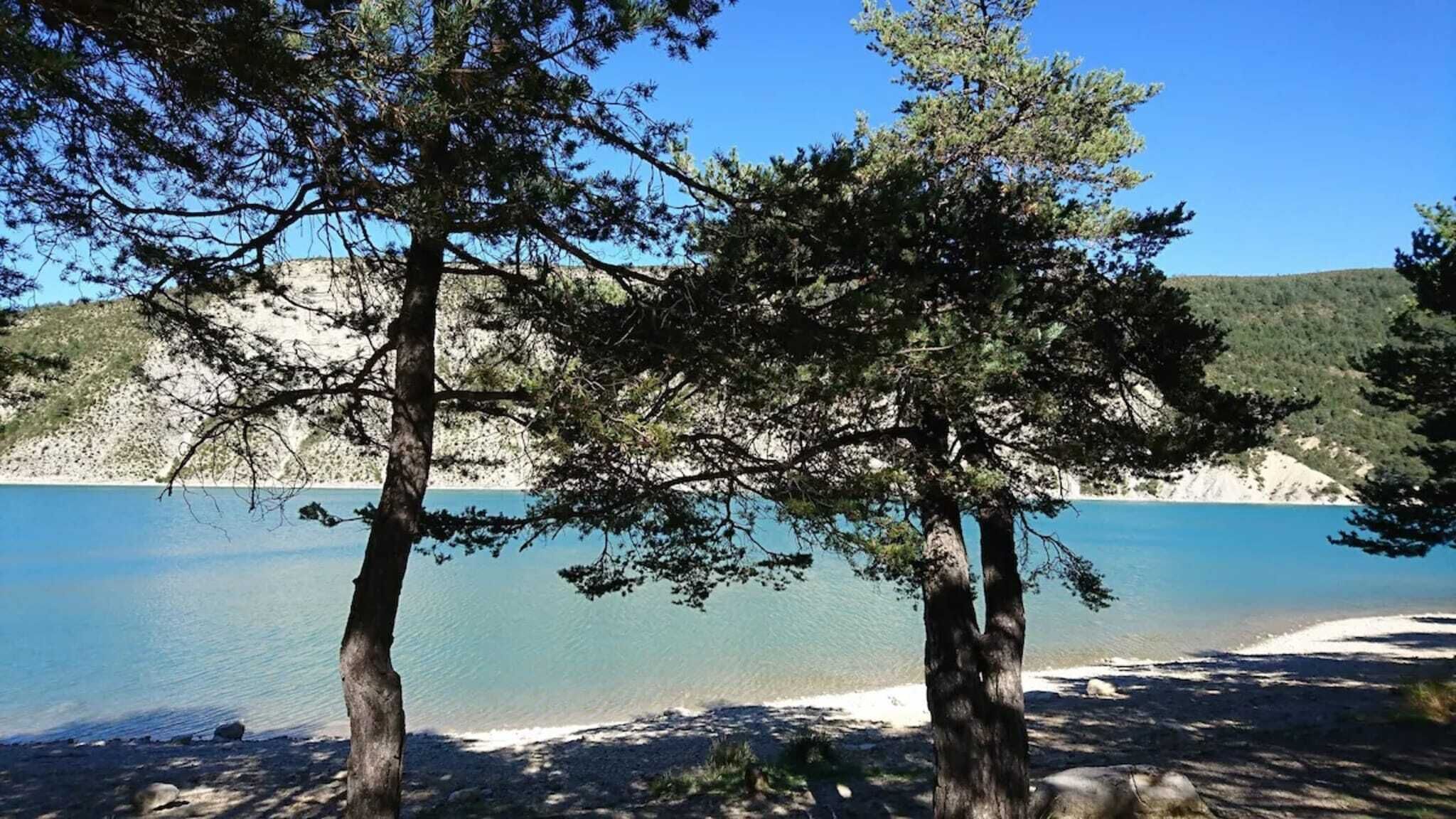Una playa con agua azul cristalina, orilla arenosa y árboles en primer plano.