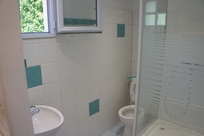 Bathroom features a sink, toilet, and glass shower enclosure.