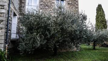 Terrein van de accommodatie