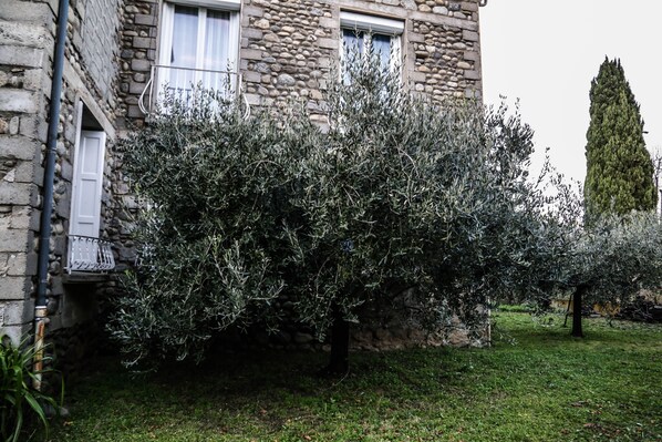 Terrain de l’hébergement 