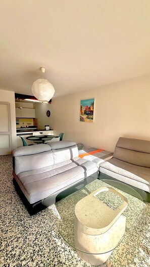 TV, DVD player, books