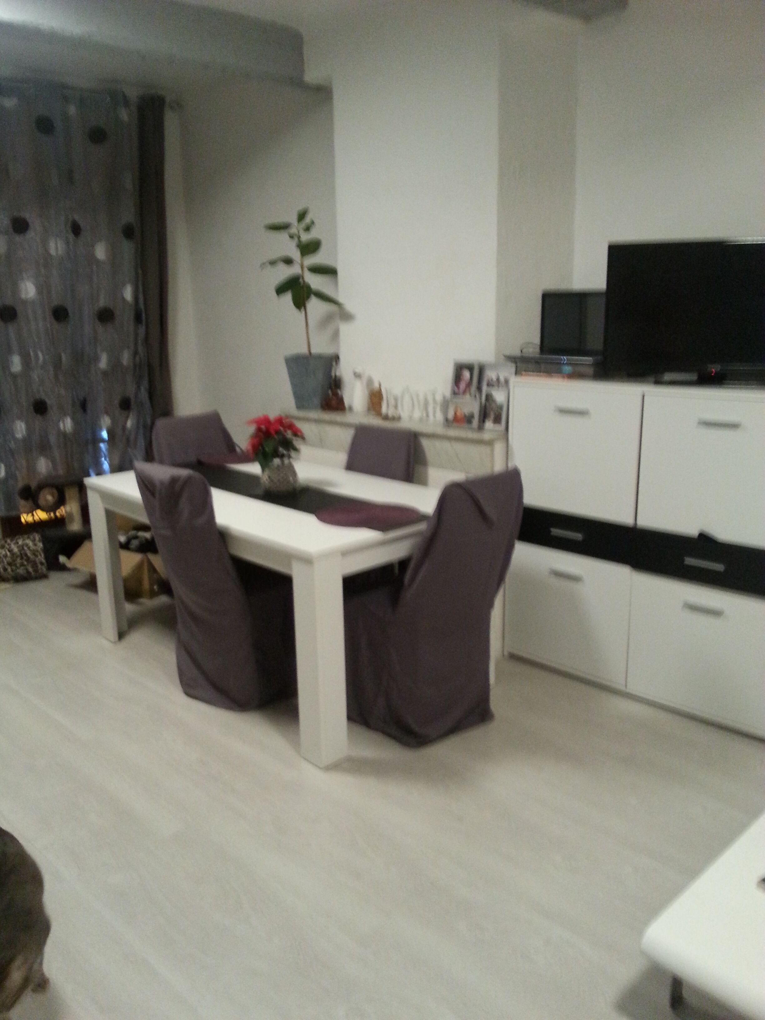 Bright studio near trade