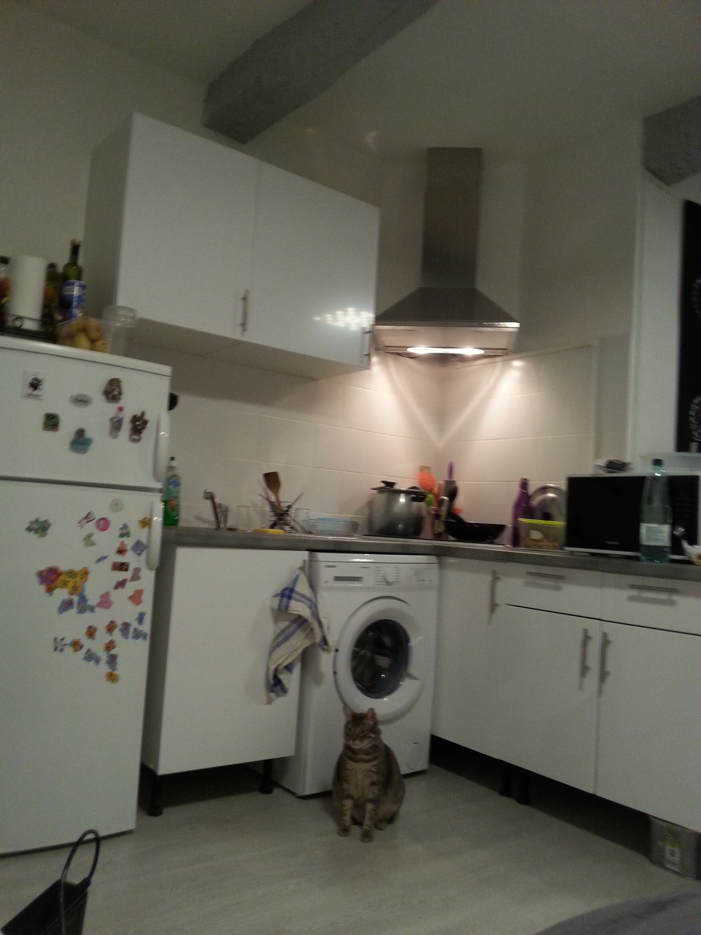 Bright studio near trade