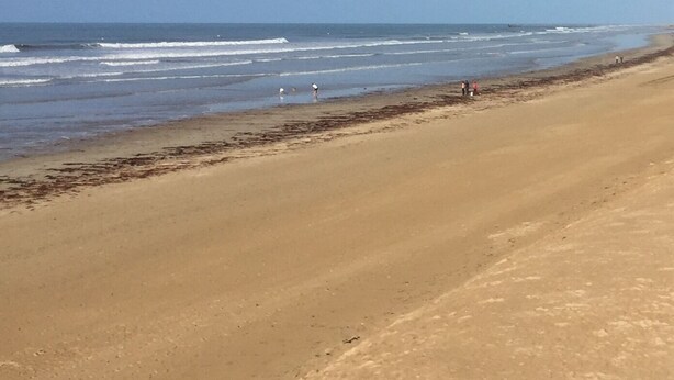 Une vaste plage de sable fin, sous un ciel dégagé, avec des vagues qui déferlent sur l’océan.