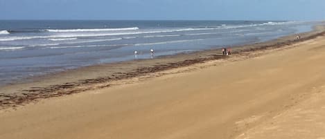 Vlak bij het strand