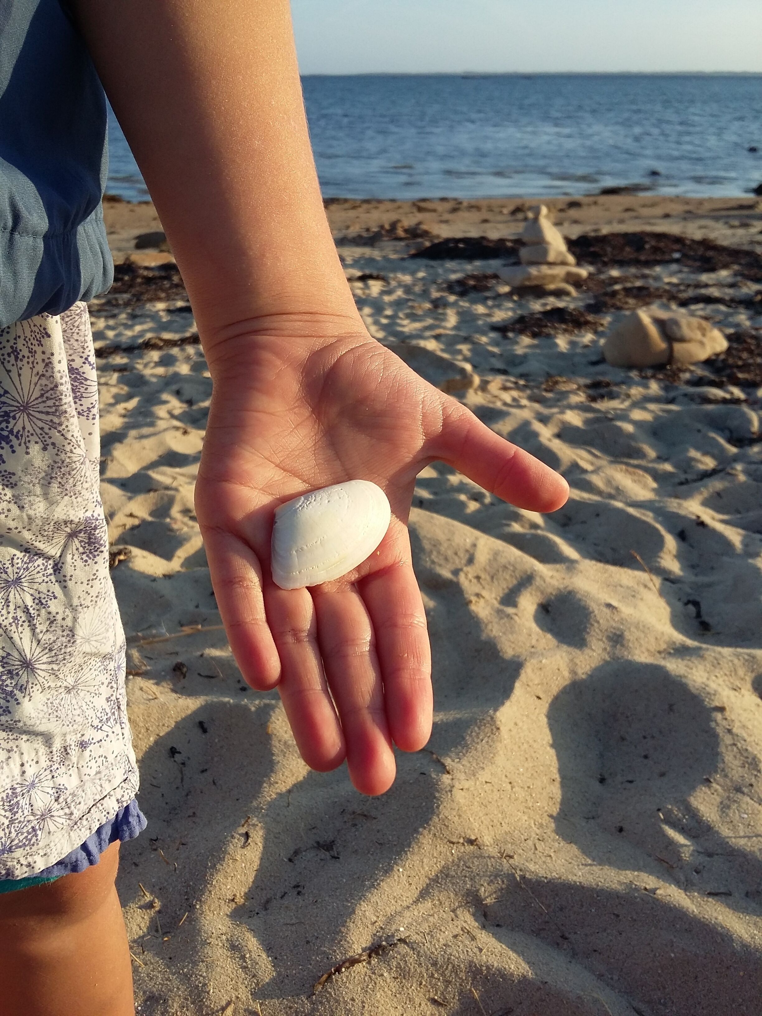 Una mano sostiene una piedra lisa y redondeada sobre una playa arenosa, con el océano al fondo.