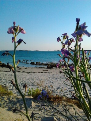 Beach nearby - 70m² OCEAN, QUIBERON BAY, 12 BEACHES within a radius of 3km  (Plouharnel)