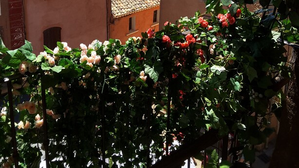 A view of terracotta-roofed buildings with a vineyard in the foreground. - "LA DAME AU BALCON" on the village square (Roussillon)