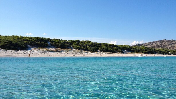 Une plage avec une eau turquoise cristalline et un rivage sablonneux.