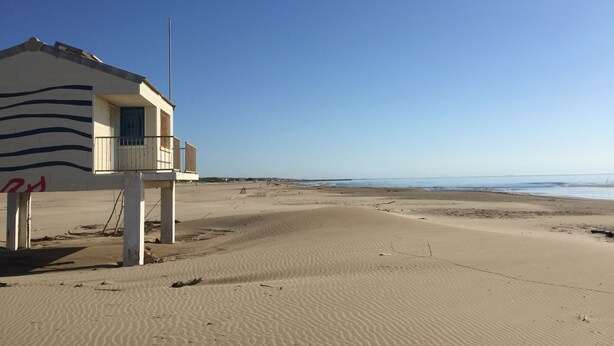 A beach house with a balcony overlooking the ocean. - Holiday home - Gruissan les Ayguades - 6 people (Gruissan)