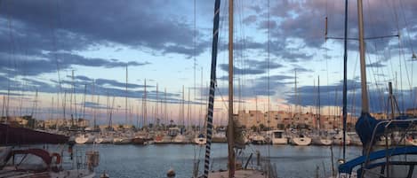 Marina