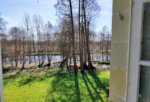 Blick aus einem Fenster auf eine Wiese mit Bäumen und einem Gewässer.