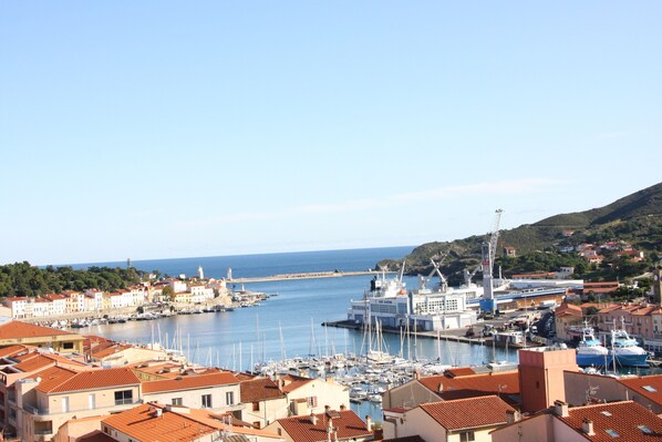 Un pueblo costero con un puerto deportivo, barcos y edificios con tejados rojos.