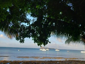 Una playa cerca