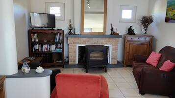 TV, fireplace, books