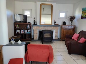 TV, fireplace, books