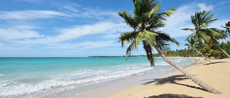 Una spiaggia nelle vicinanze, lettini da mare, teli da spiaggia