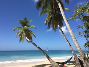 Una spiaggia nelle vicinanze