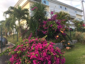 المنطقة المحيطة بالمنشأة