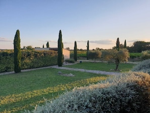 Property grounds - Charming gîte with heated pool on a wine estate in Uzès (Bourdic)