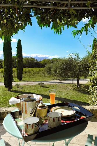 Charming gîte with heated pool on a wine estate in Uzès