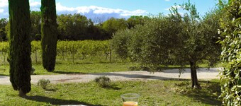 Charming gîte with heated pool on a wine estate in Uzès