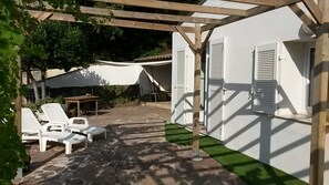 Terras