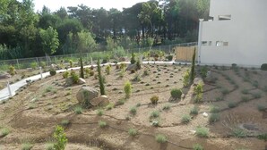 Un giardino curato con diverse piante e arbusti, un vialetto lastricato e un edificio bianco sullo sfondo.