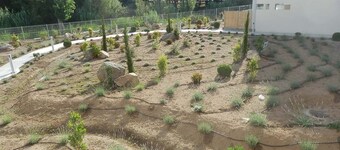 THE SHORES OF CALVI - MONTE GROSSO