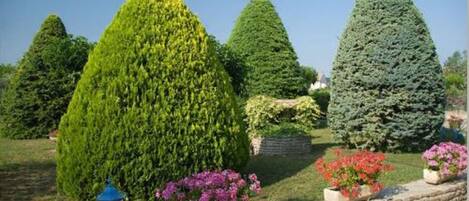 Jardines del alojamiento