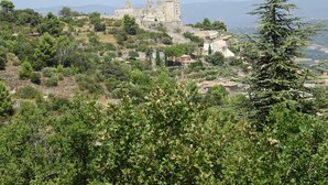 Un château historique perché sur une colline, entouré de verdure et surplombant un ciel dégagé.