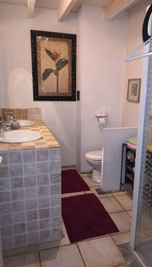 Combined shower/bathtub, hair dryer, towels, soap
