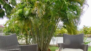 Property grounds -  Villa F4 standing  (Le Diamant)