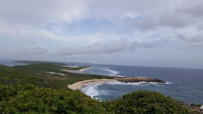 Nær stranden