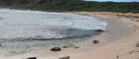 Playa en los alrededores