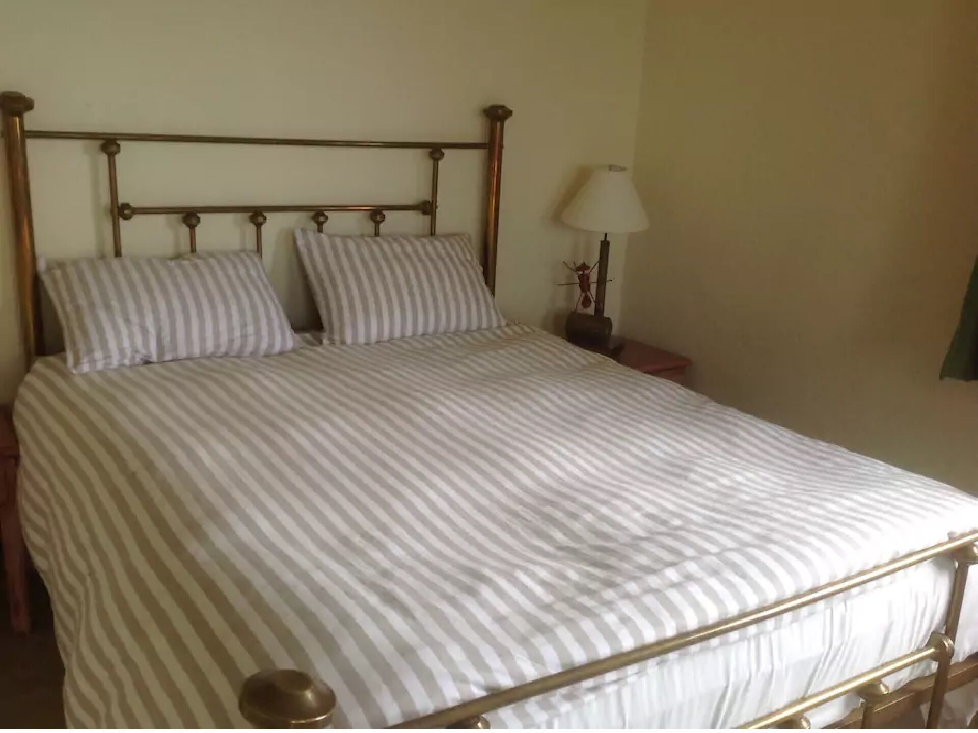 farm 1.5 km from Salento, incredible view