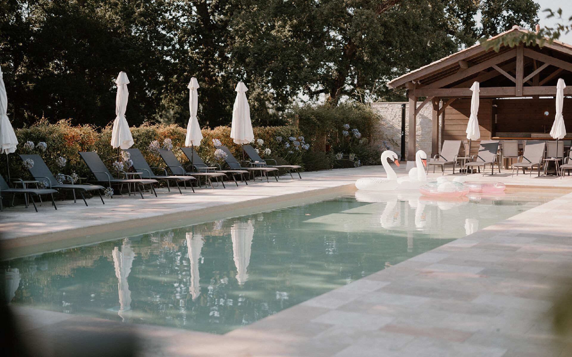 A pool area with lounge chairs and swans.