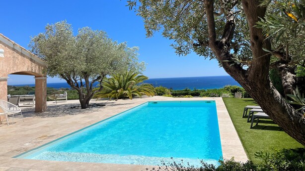 A rectangular swimming pool with clear blue water, surrounded by a paved deck. There is a large tree with dense foliage to the right and a pergola structure to the left. The background features a clear blue sky and a distant view of the sea. - Superb villa with panoramic sea view Sainte Maxime (Sainte-Maxime)
