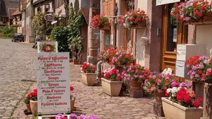 A cobblestone street with flower pots and a sign listing local produce and bakery items. - Maison D'Architecte in one of France's most beautiful villages (Bergheim)