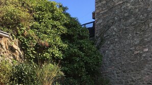 A wooden deck with a chair and table, surrounded by greenery and a stone wall. - Charming 19th century house on the port of Dahouet (3 *) (Pléneuf-Val-André)
