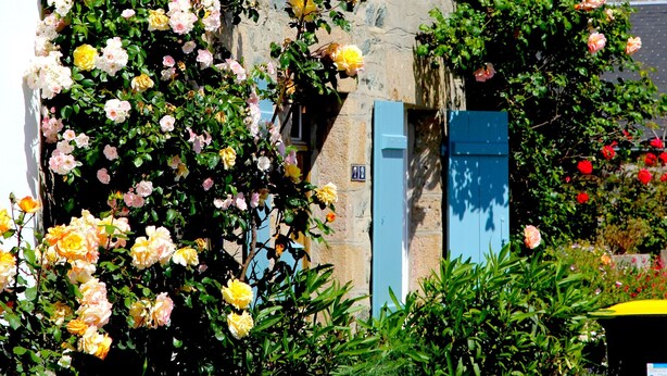 A stone building with a traditional facade, a blue door, and a garden with blooming roses. - Charming 19th century house on the port of Dahouet (3 *) (Pléneuf-Val-André)