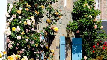 DĂ©tail de lâextĂ©rieur