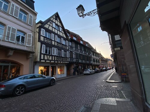 Apartment and garden in house in Obernai